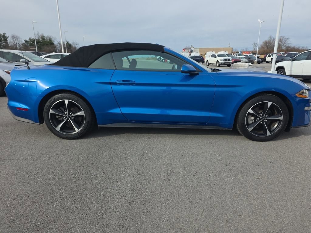 Used 2020 Ford Mustang EcoBoost w/ Equipment Group 101A image 4