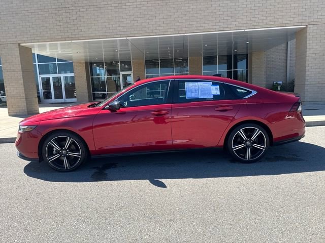 Used 2024 Honda Accord Sport image 1