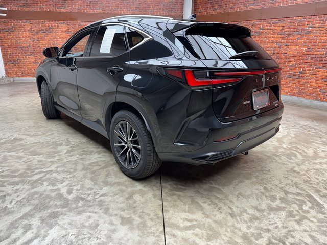 Used 2024 Lexus NX 350h AWD w/ Premium Package image 3