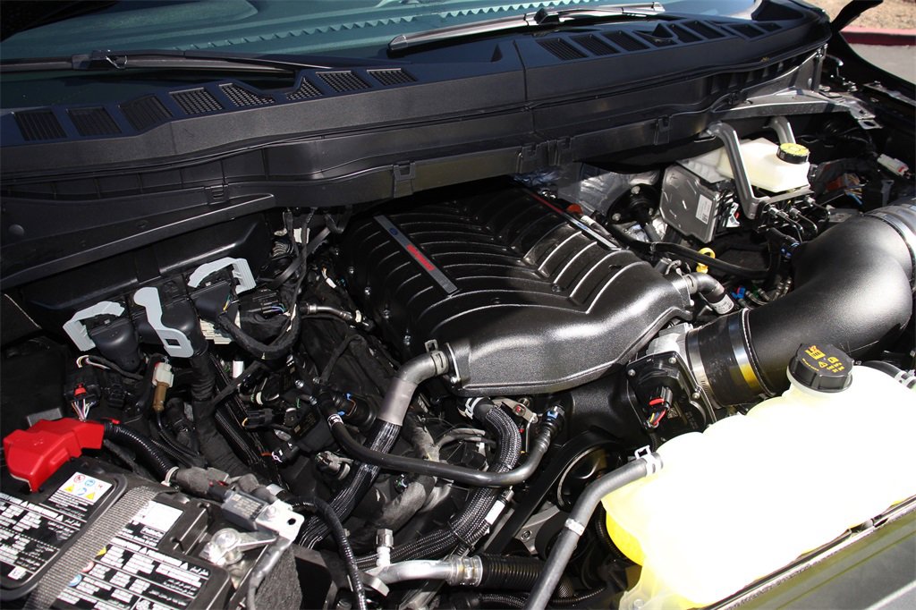 New 2025 Ford F150 STX w/ LOBO Package image 25