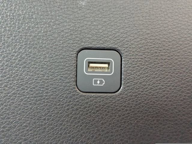Used 2024 Kia Carnival SX FWD image 19