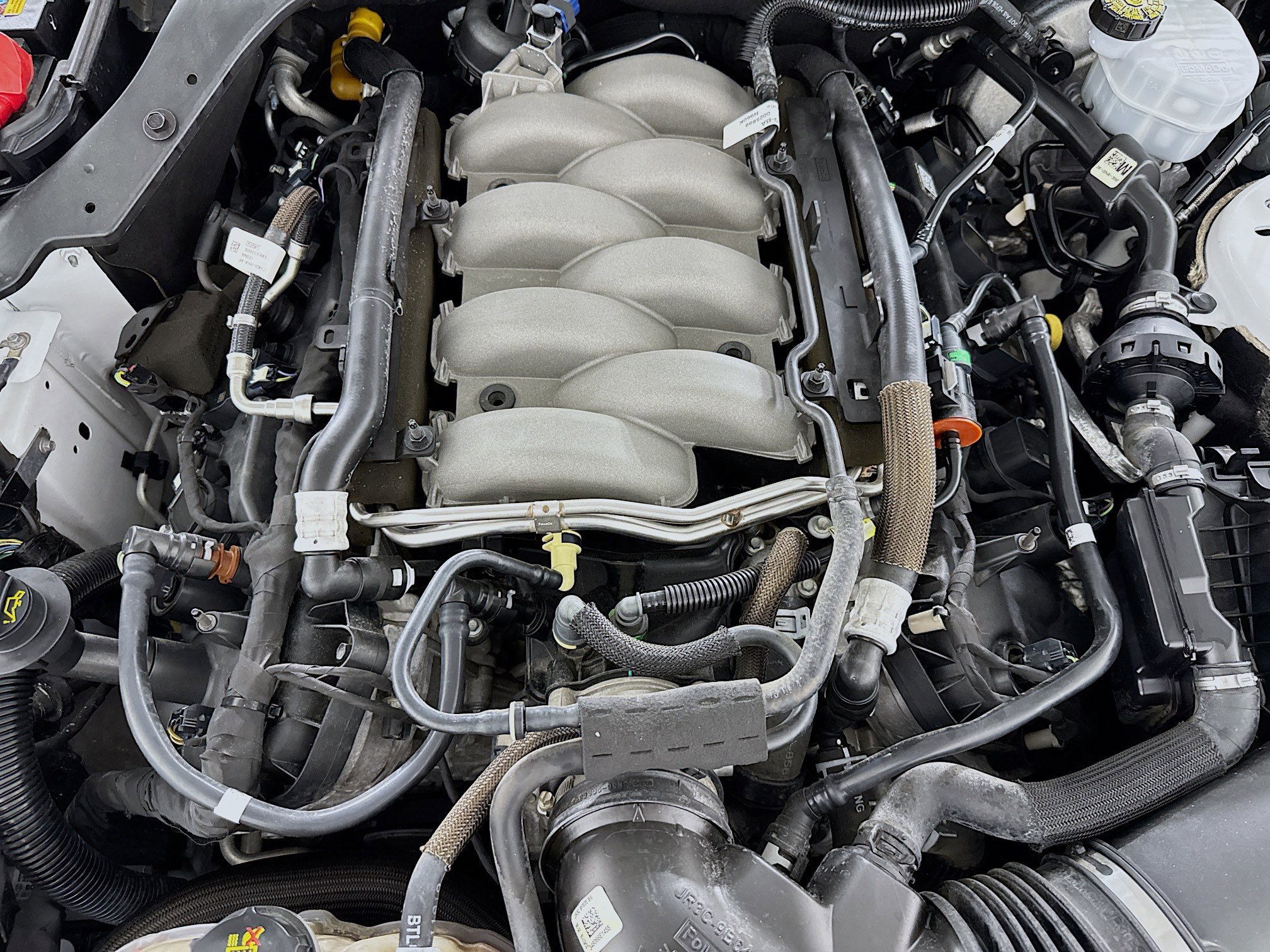 Used 2018 Ford Mustang GT RWD image 34