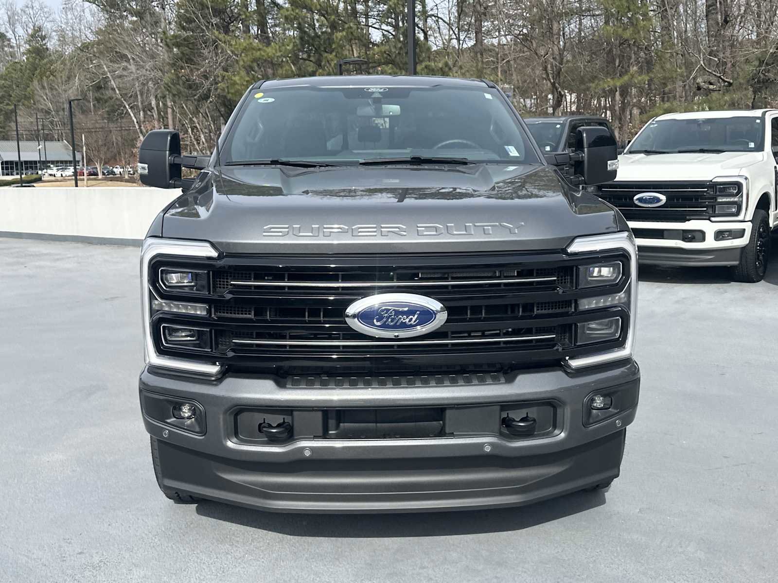 New 2026 Ford F250 Platinum image 2