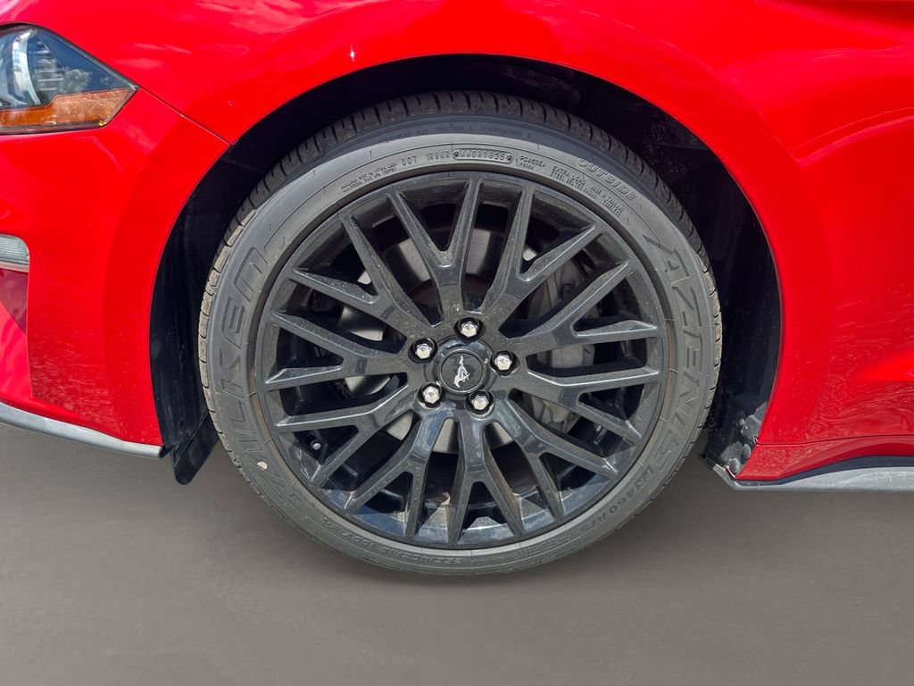Used 2019 Ford Mustang GT Premium w/ Equipment Group 401A RWD image 10