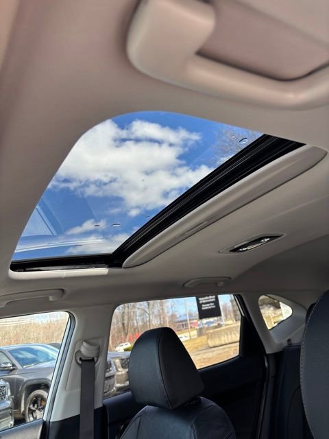 Certified 2025 Kia Seltos EX w/ EX Sunroof Package image 12