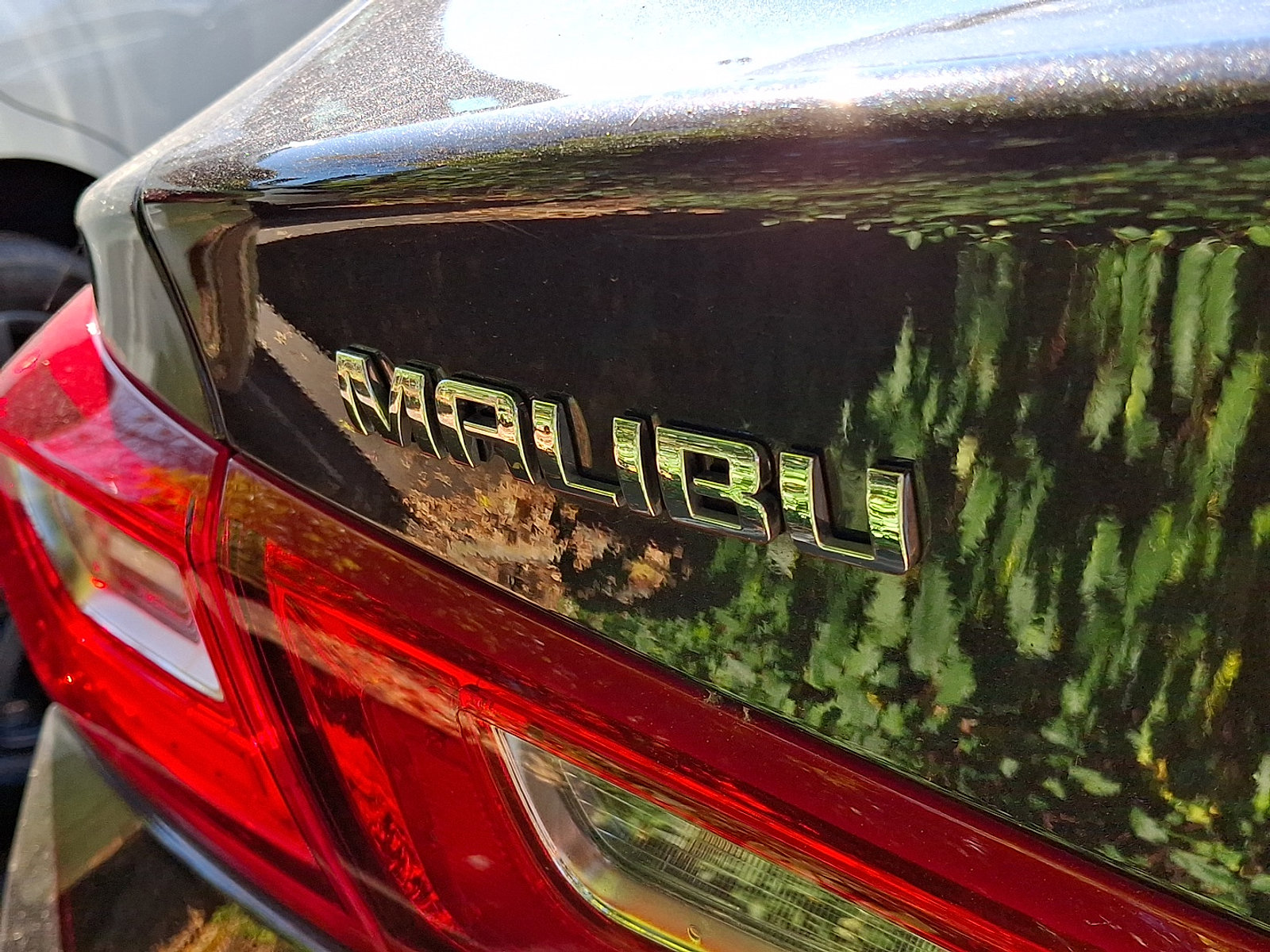 Certified 2023 Chevrolet Malibu LT image 9