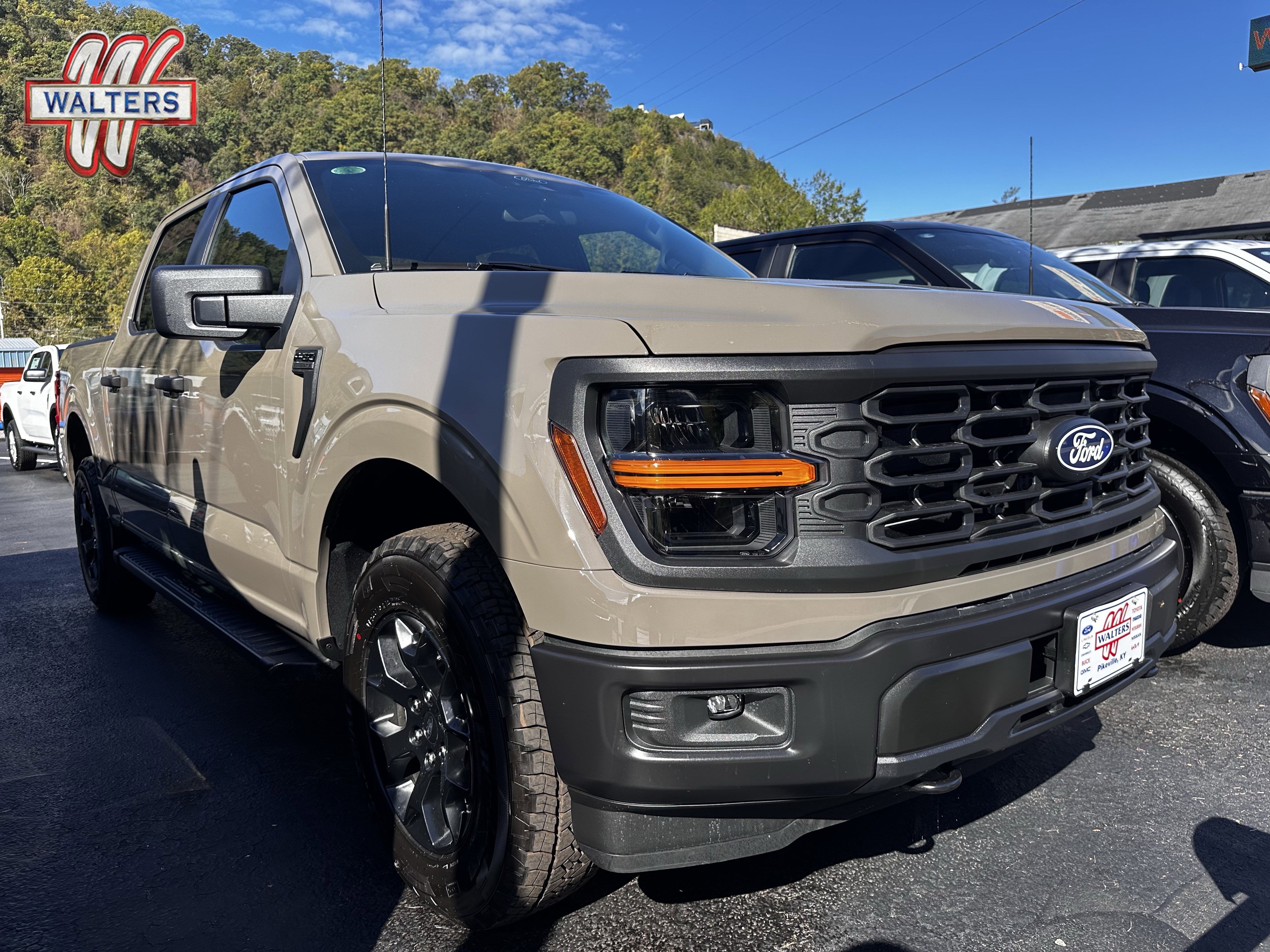 New 2025 Ford F150 STX image 1