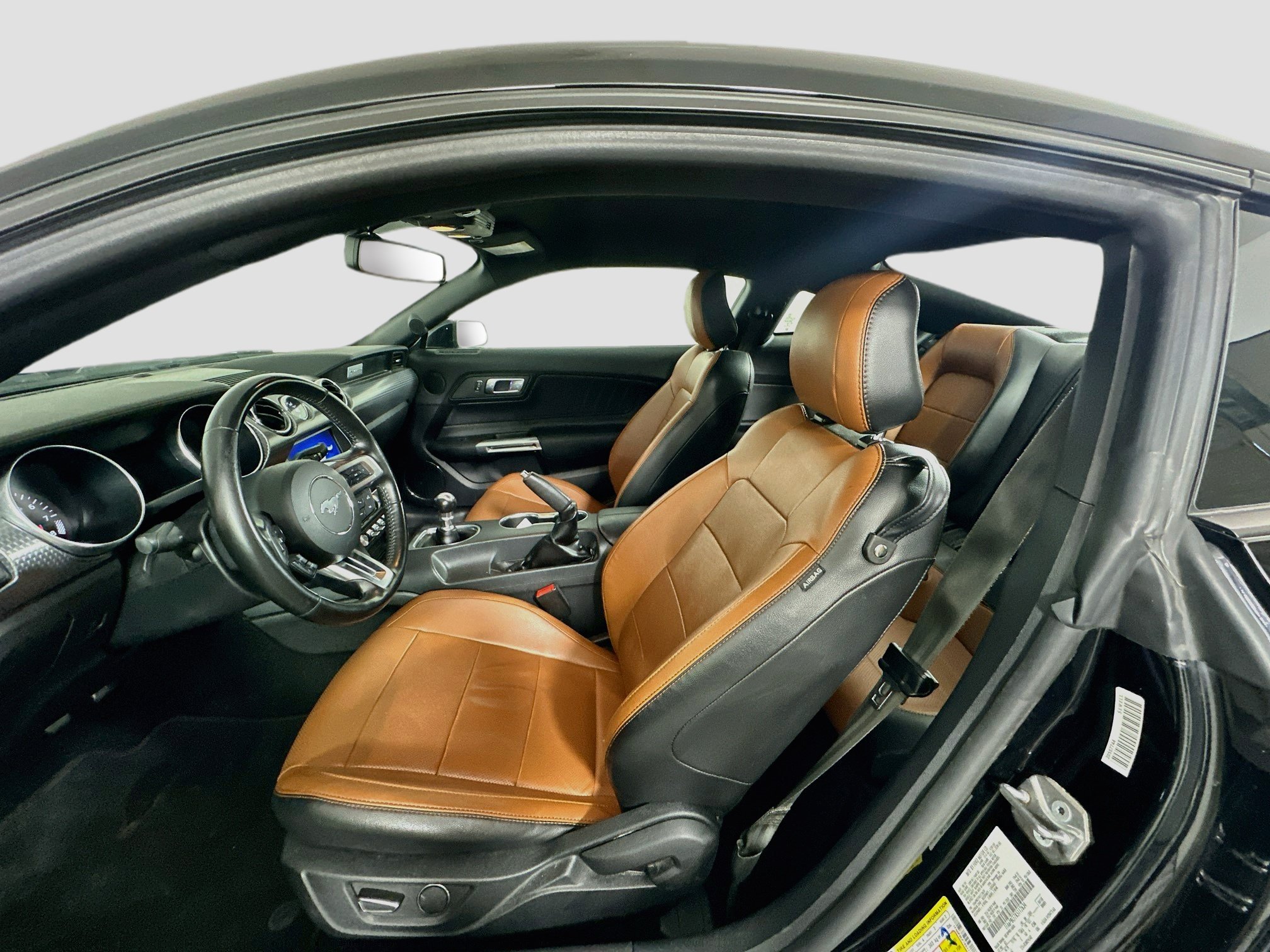 Used 2019 Ford Mustang GT Premium w/ Black Accent Package RWD image 13