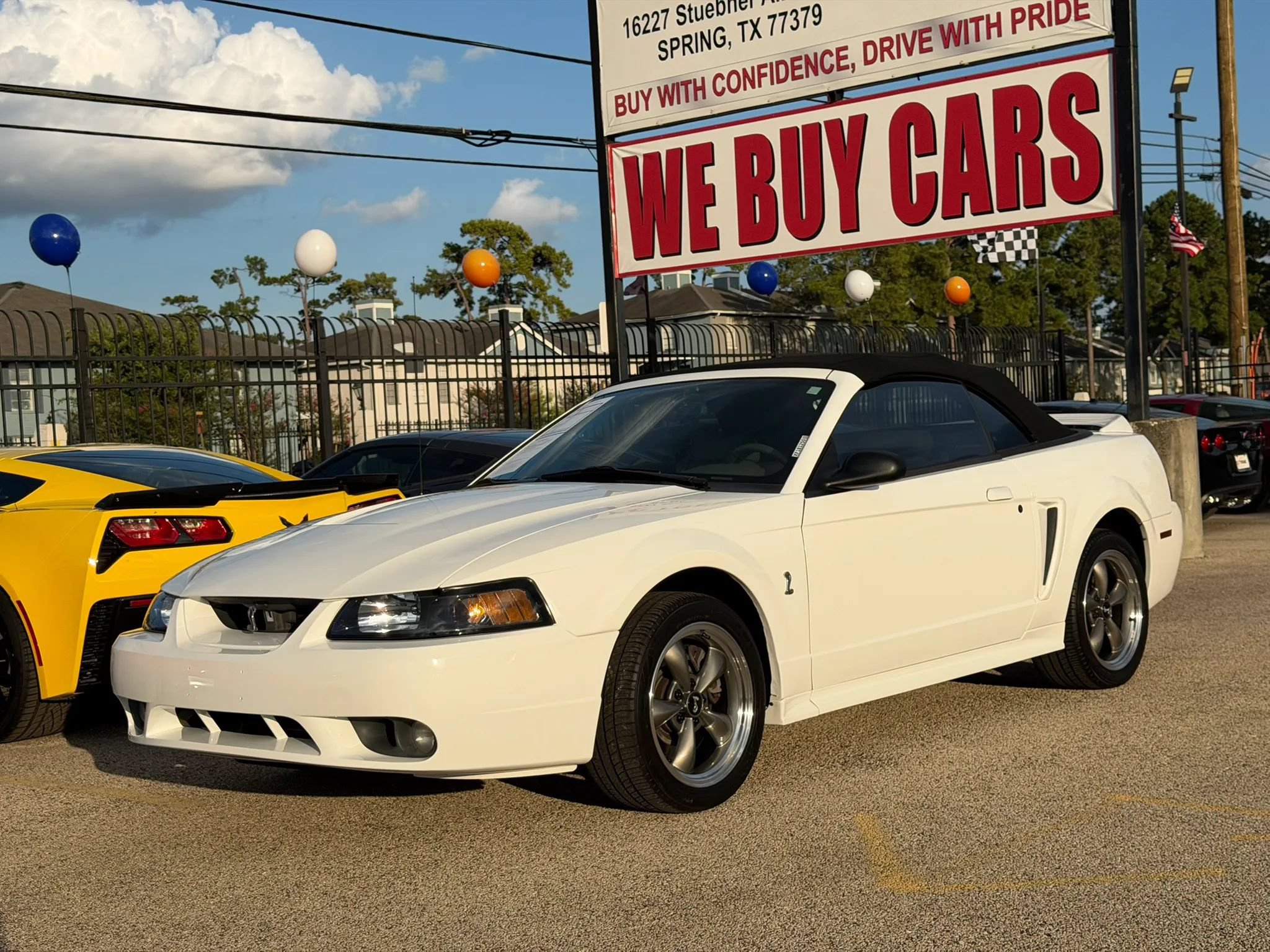 Used 1999 Ford Mustang Cobra RWD image 49