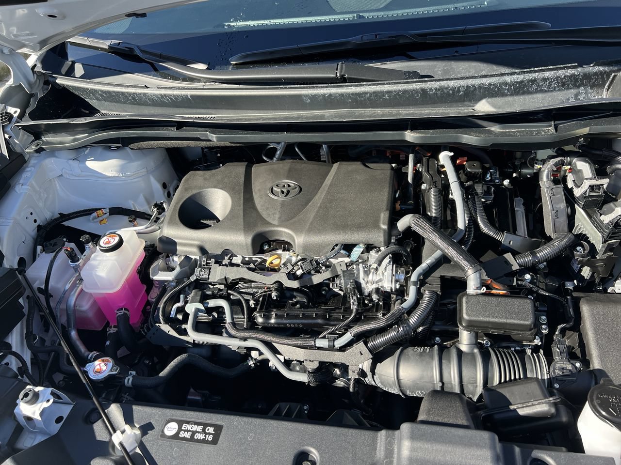 Used 2026 Toyota Sienna Limited FWD image 36