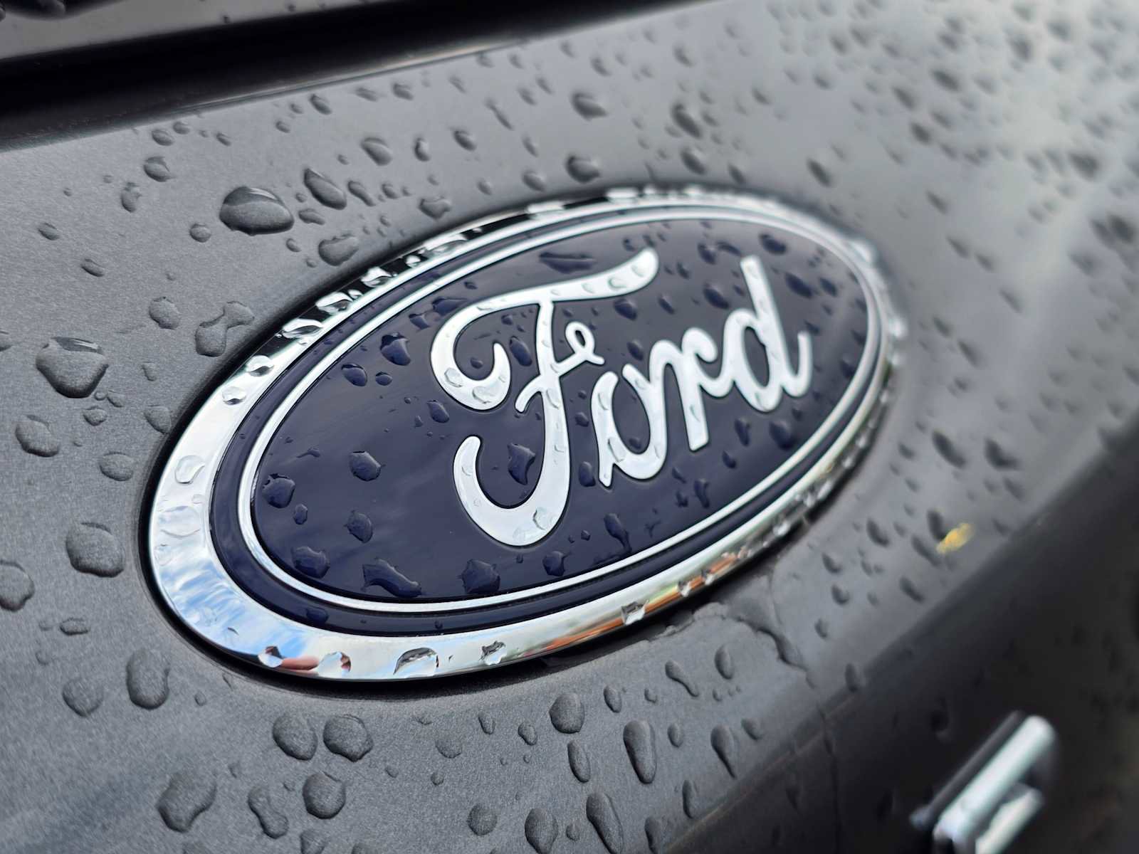 Used 2025 Ford Escape ST-Line Select AWD/4WD image 15