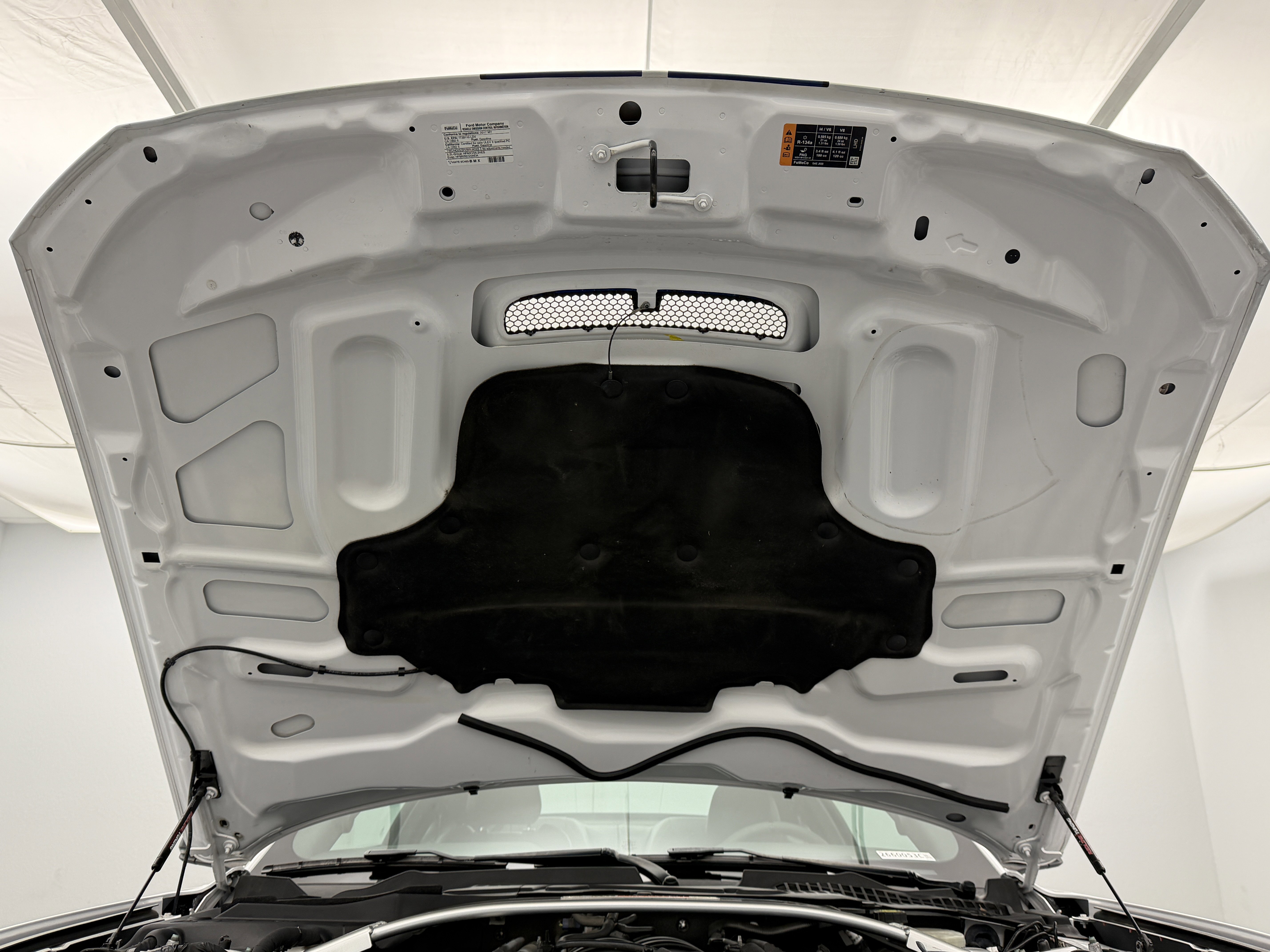 Used 2017 Ford Mustang Shelby GT350 image 99