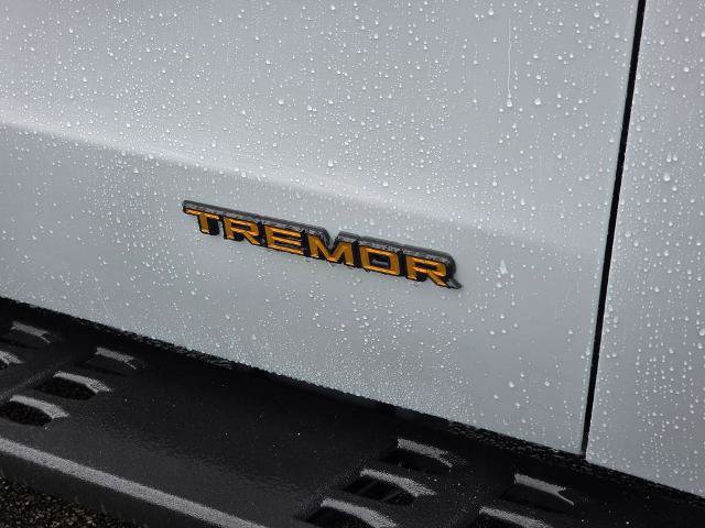 Certified 2025 Ford Expedition Tremor image 16