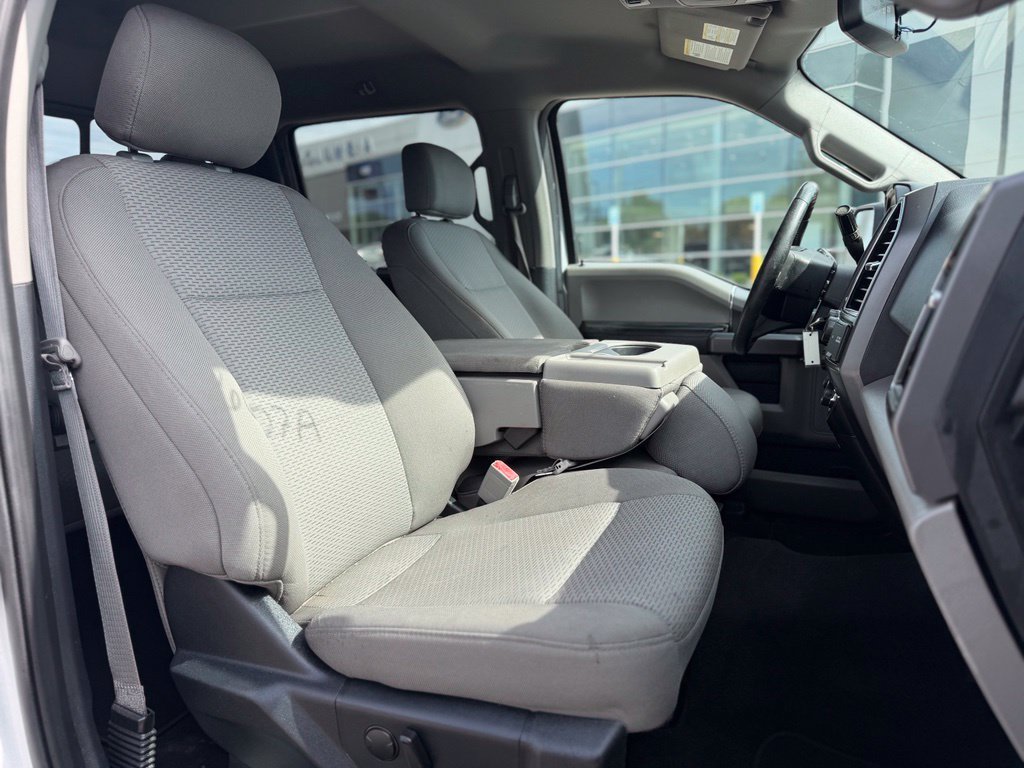 Used 2019 Ford F150 XLT w/ Equipment Group 302A Luxury RWD image 10