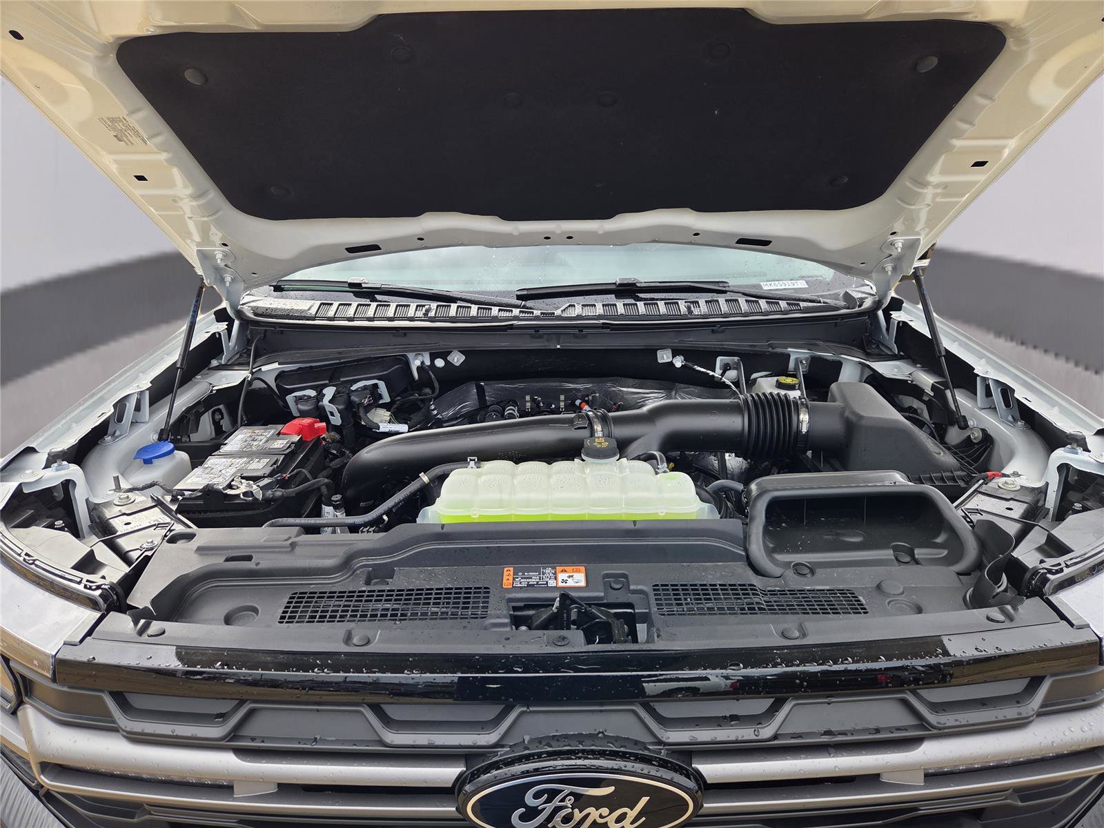 Used 2025 Ford Expedition Tremor image 35