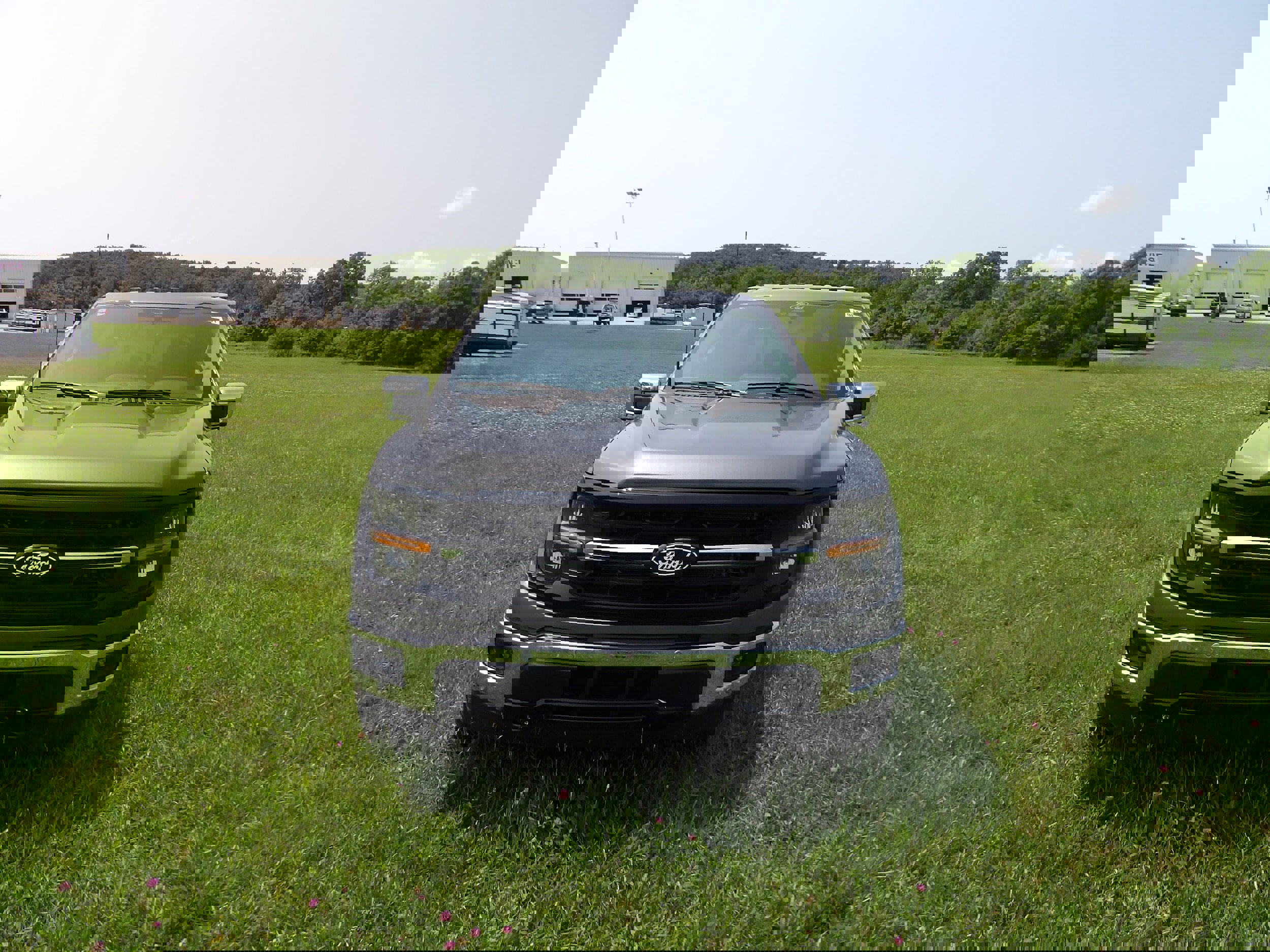 New 2025 Ford F150 XLT w/ Equipment Group 303A High image 3