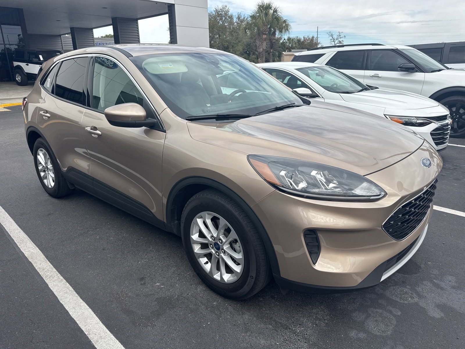 Used 2020 Ford Escape SE image 2