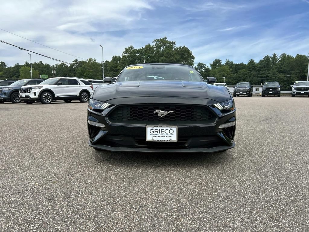 Used 2023 Ford Mustang Premium w/ Equipment Group 201A RWD image 8