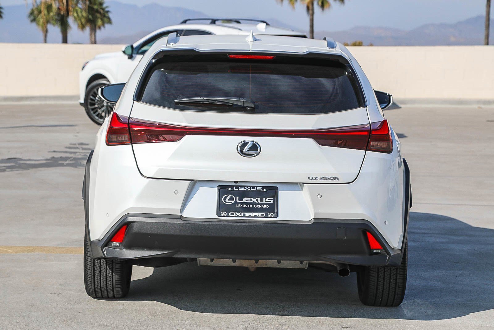 Used 2024 Lexus UX 250h FWD image 6