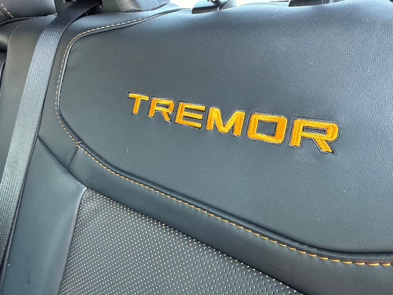 Used 2022 Ford F150 Tremor w/ Equipment Group 402A High AWD/4WD image 23