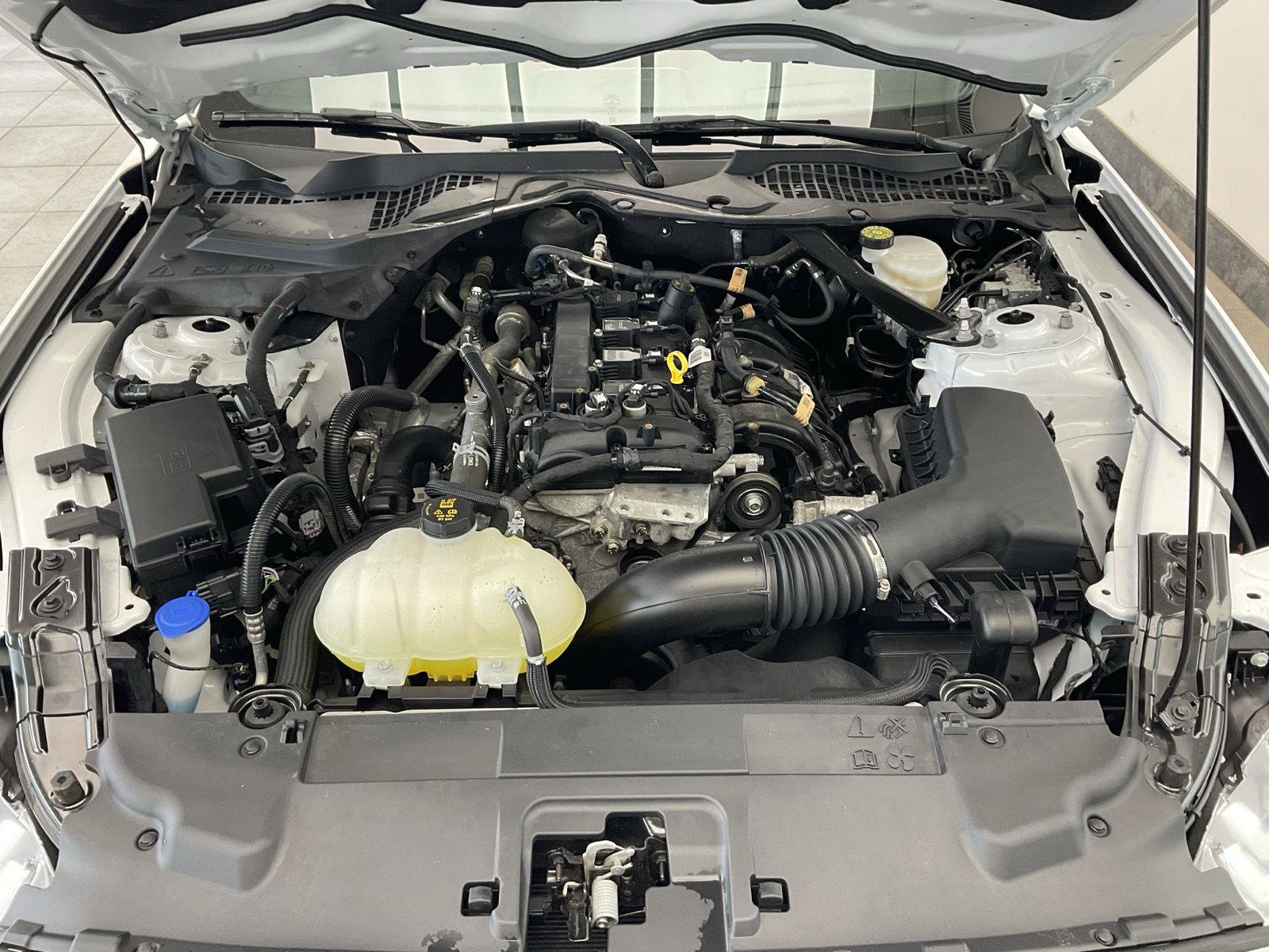 Used 2021 Ford Mustang Premium w/ Equipment Group 201A RWD image 23