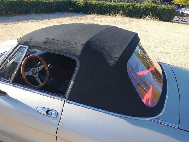 Used 1986 Alfa Romeo Spider Veloce image 21