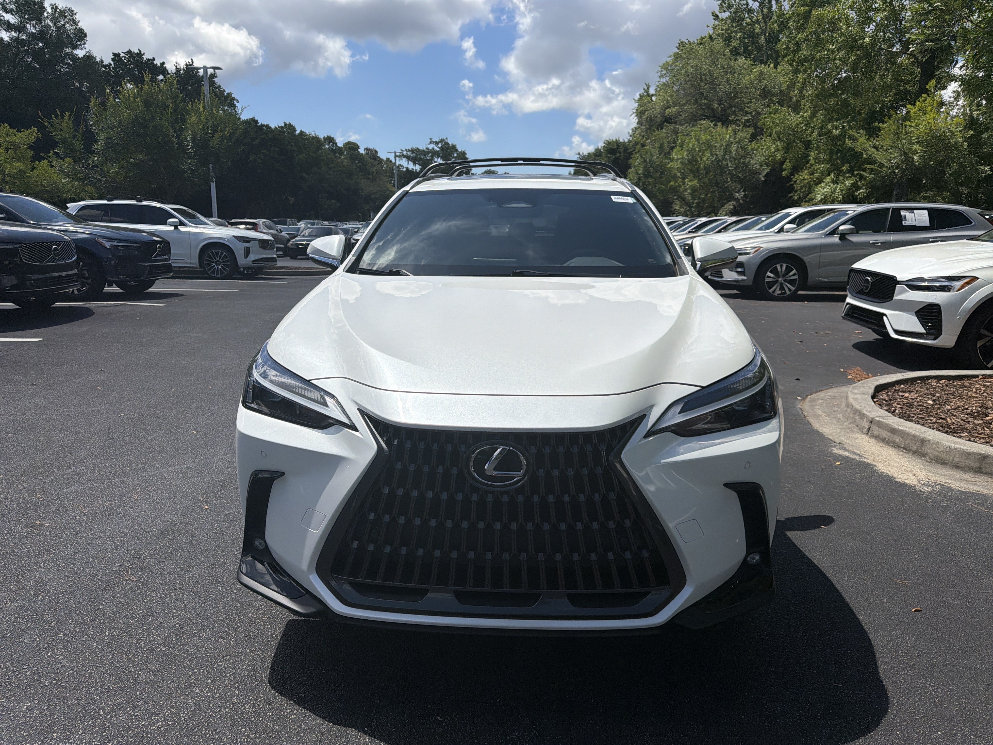 Used 2024 Lexus NX 250 FWD w/ Cold Area Package image 3