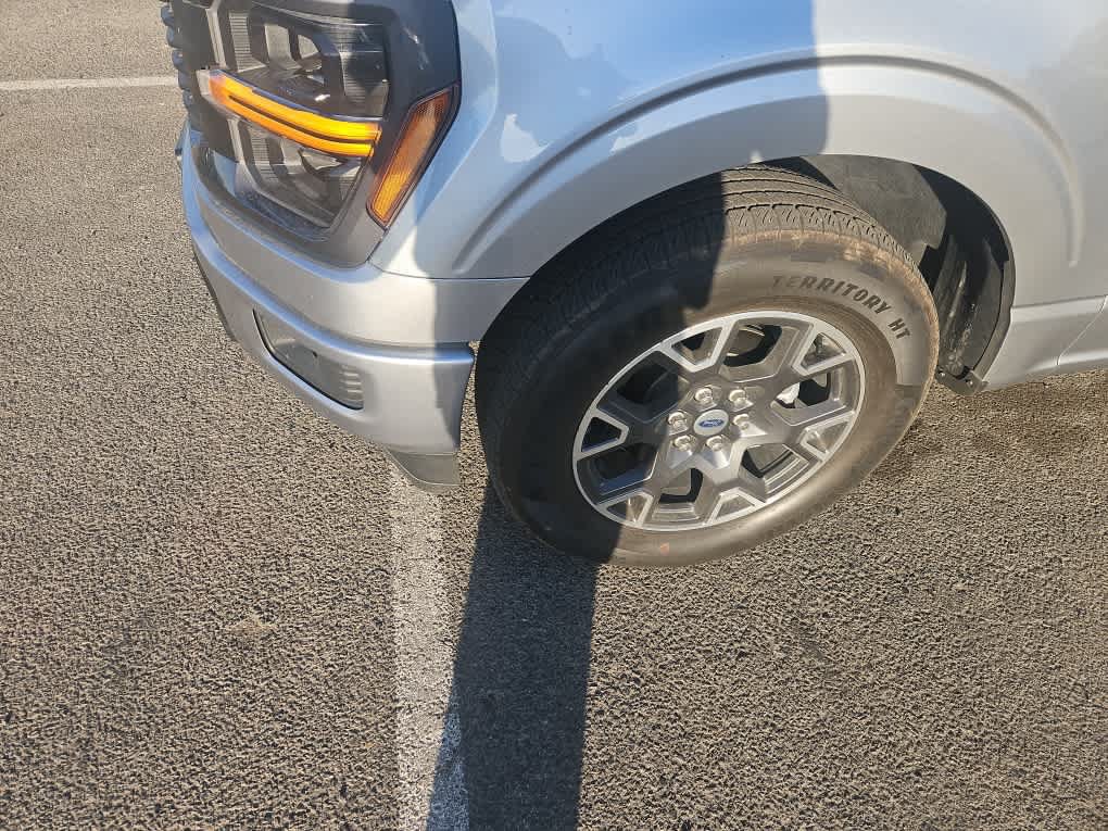 Used 2024 Ford F150 STX RWD image 3