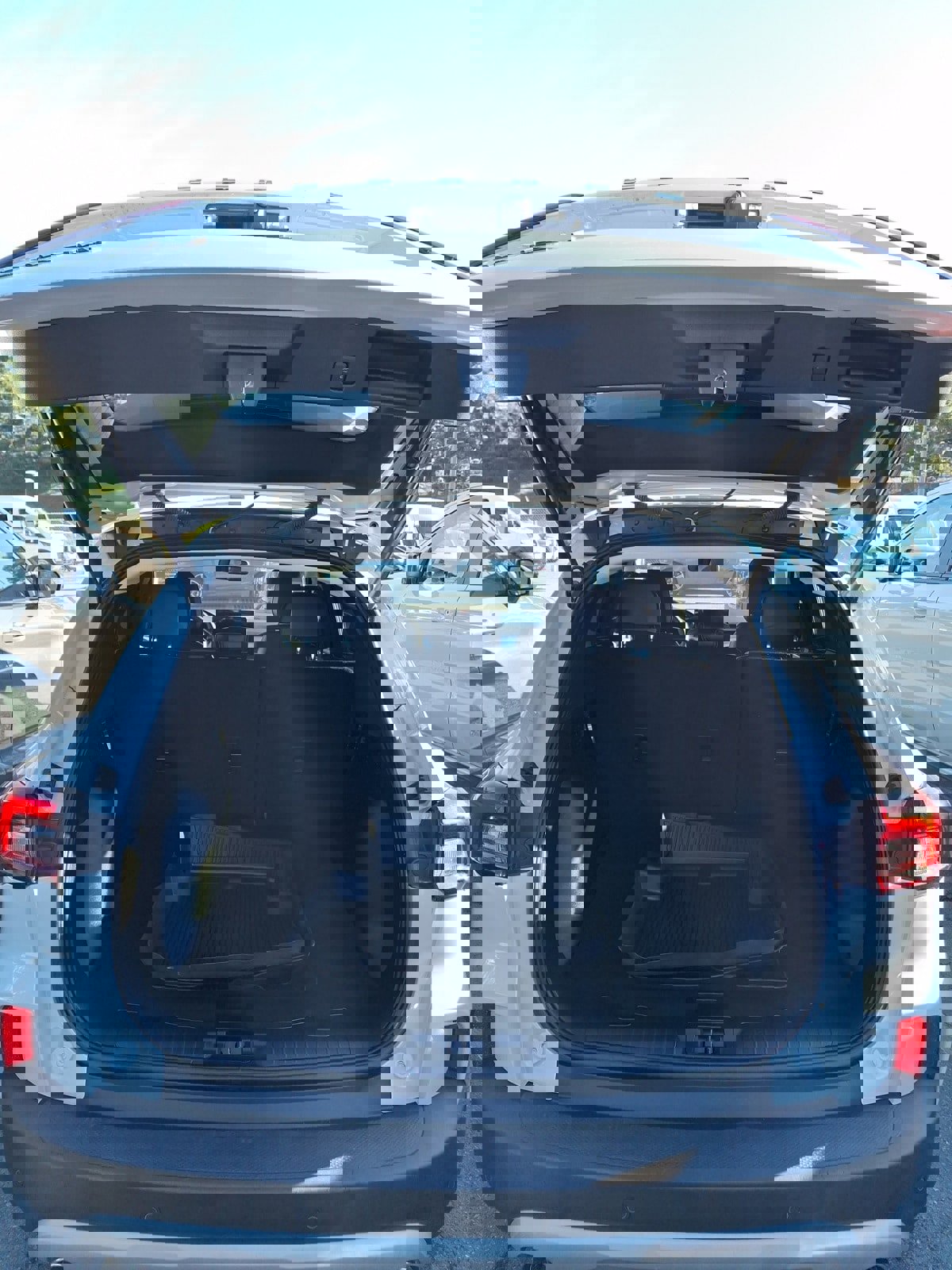 Used 2025 Ford Escape Platinum image 6