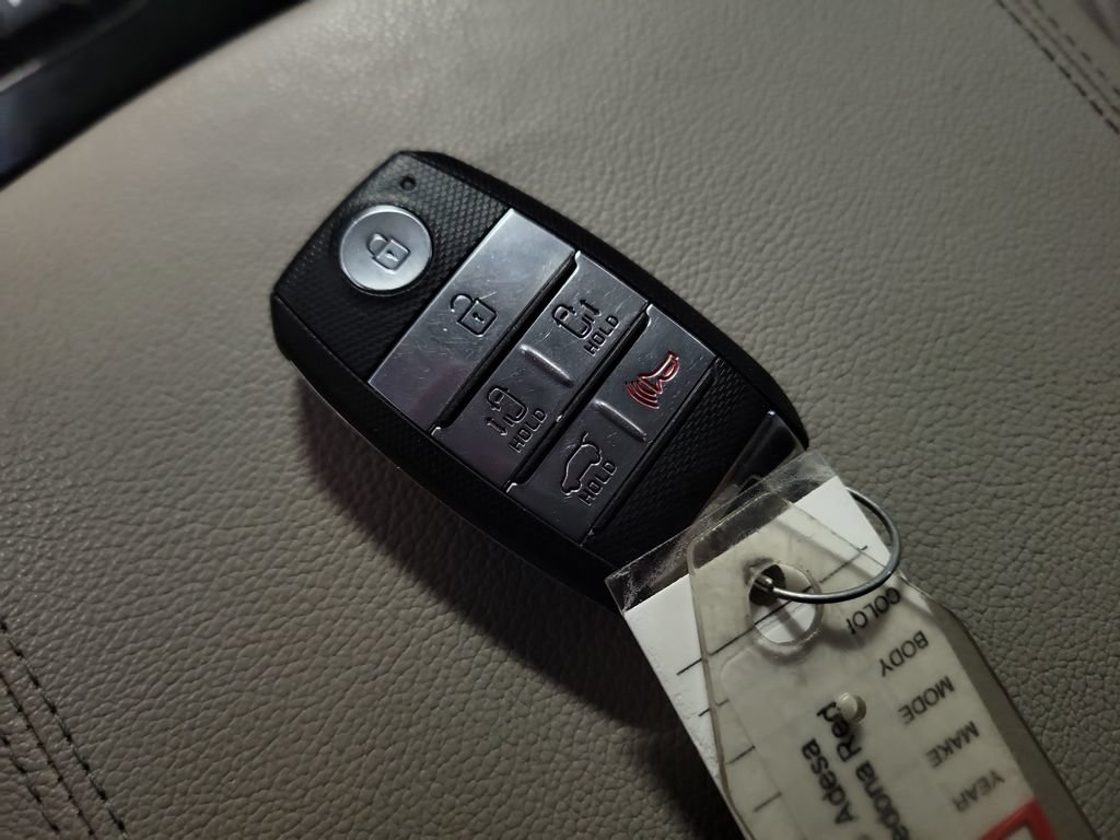 Used 2018 Kia Sedona SX Limited FWD image 16