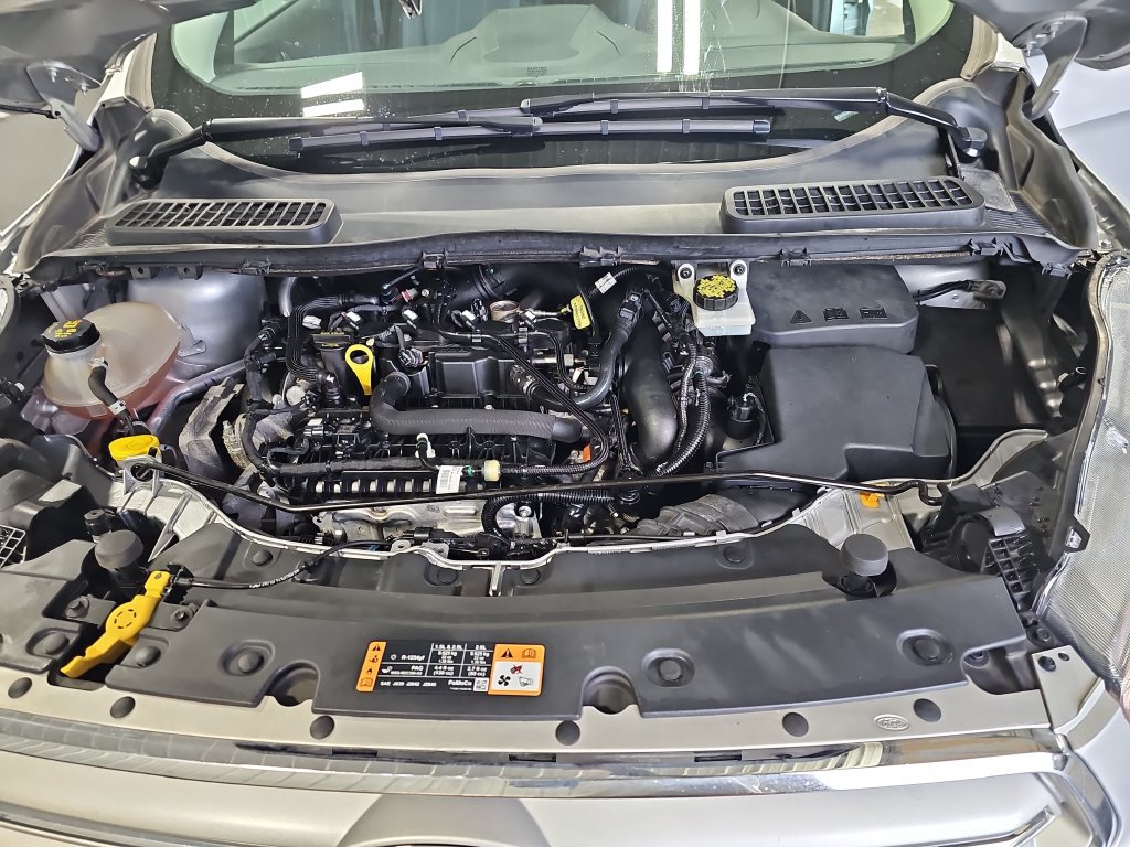 Used 2019 Ford Escape SE AWD/4WD image 29