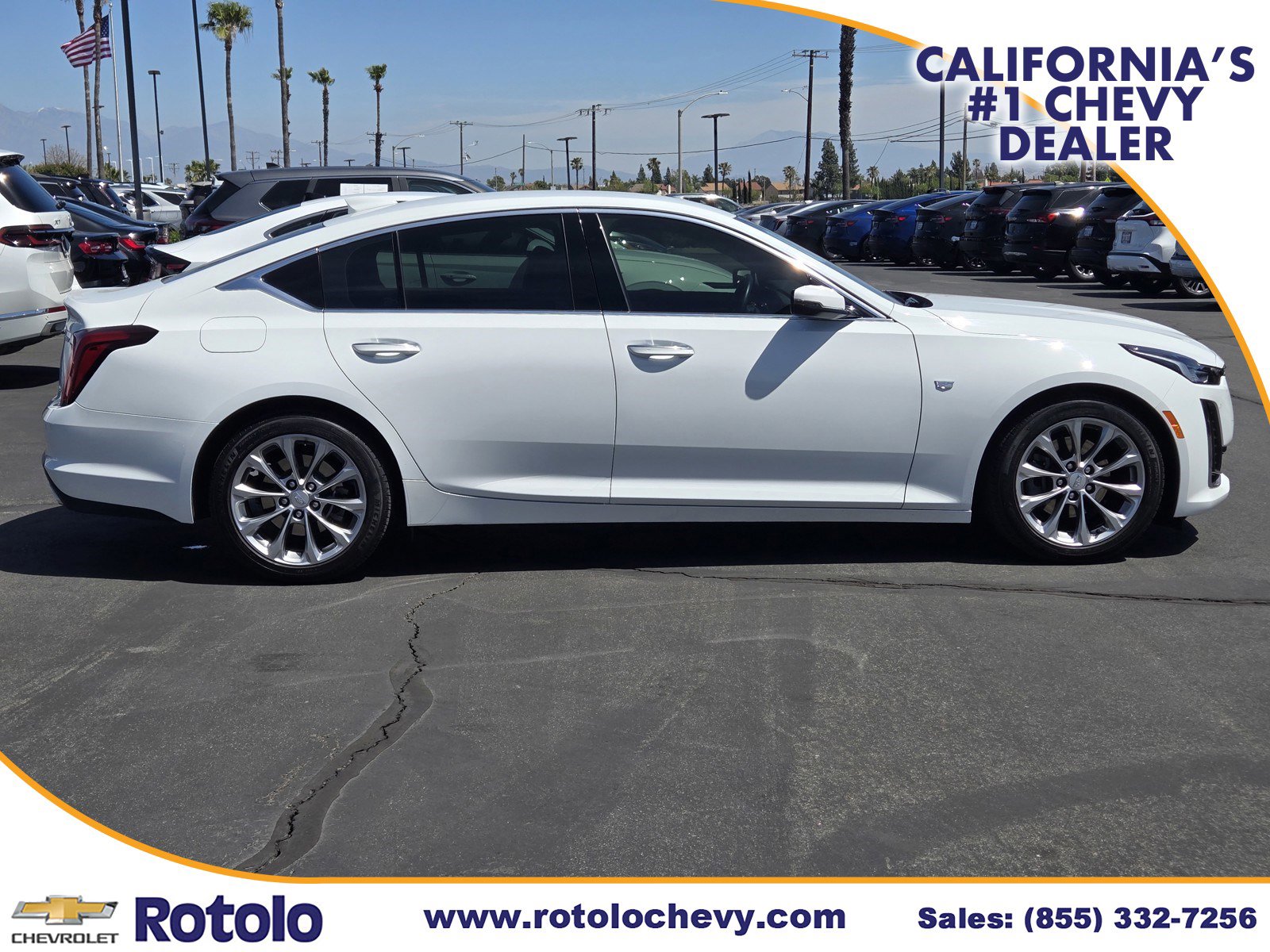 Used 2024 Cadillac CT5 Premium Luxury RWD image 8