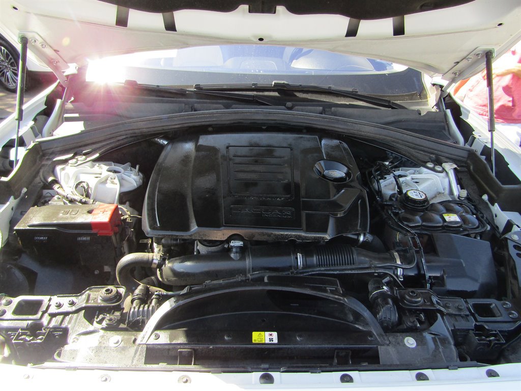 Used 2019 Jaguar F-PACE R-Sport image 13