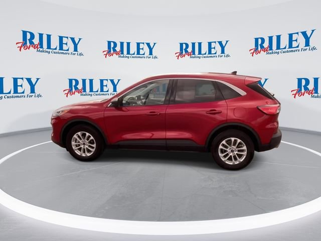 Used 2022 Ford Escape SE w/ Cold Weather Package AWD/4WD image 6