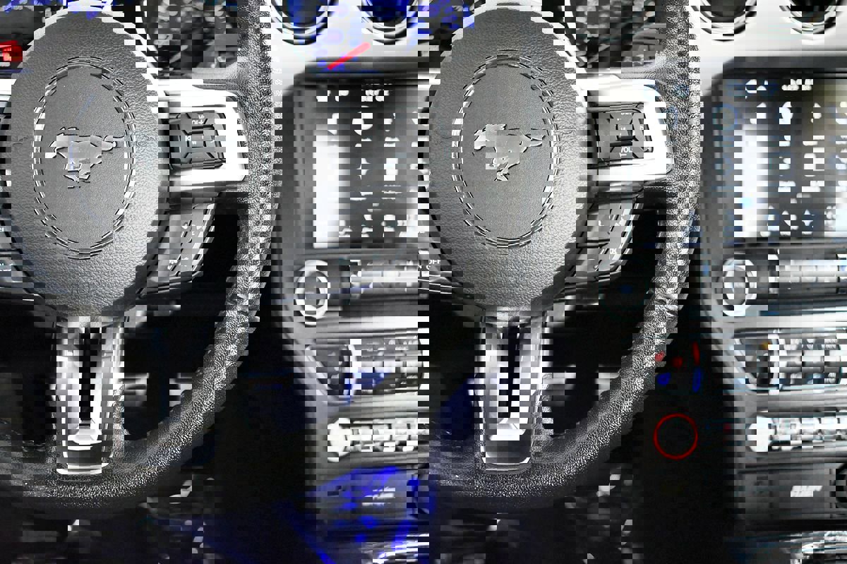 Used 2017 Ford Mustang GT Premium w/ Equipment Group 401A image 42