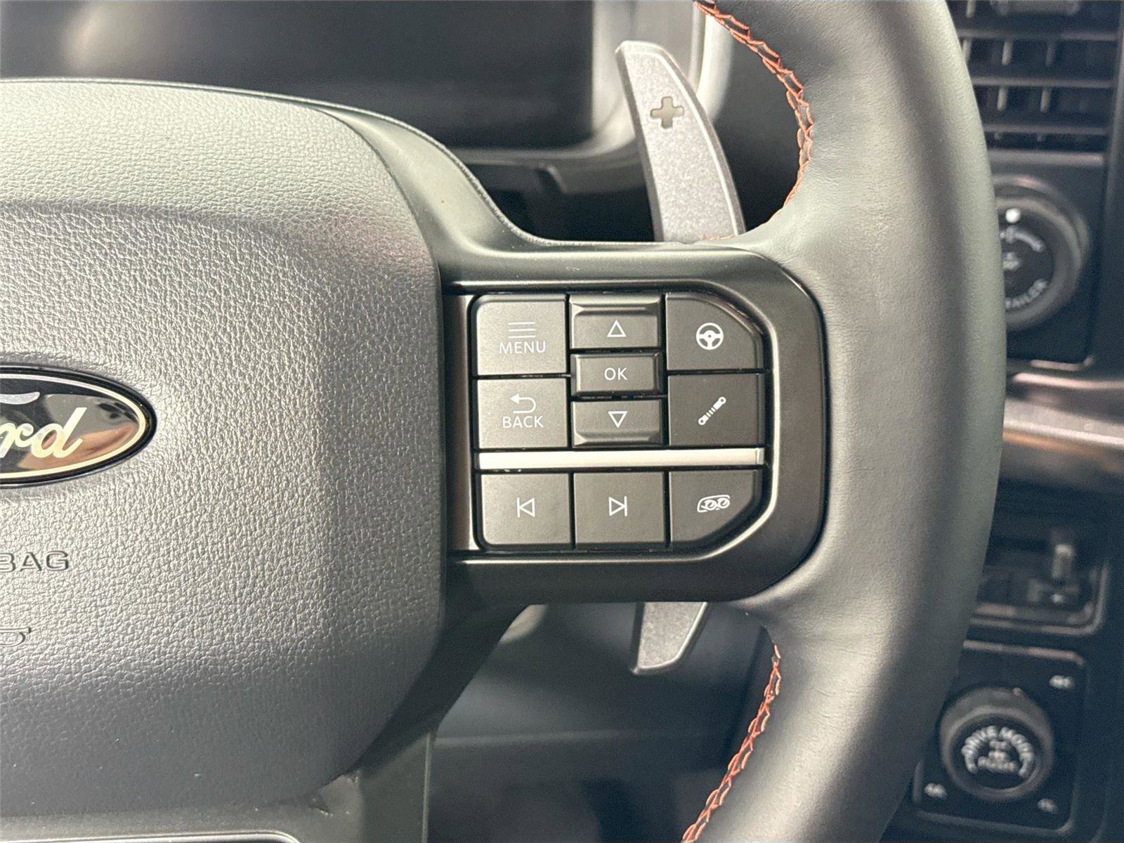 Used 2025 Ford F150 Raptor image 20