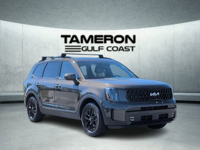 Used 2024 Kia Telluride SX Prestige X-Pro image 9