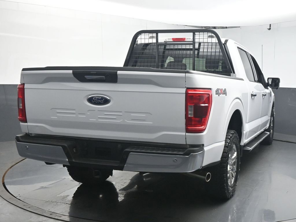 Used 2023 Ford F150 XLT w/ Equipment Group 301A Mid image 7