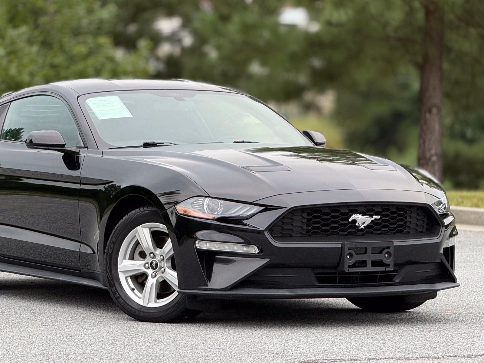 Used 2019 Ford Mustang Coupe RWD image 43