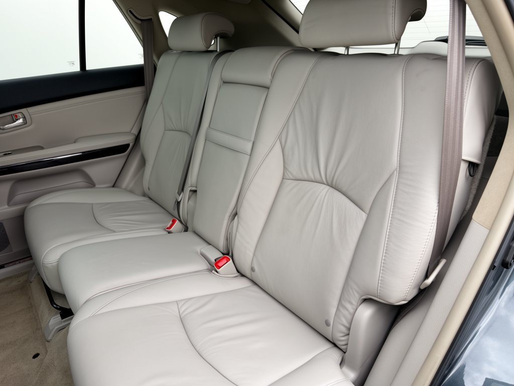Used 2009 Lexus RX 350 2WD image 25
