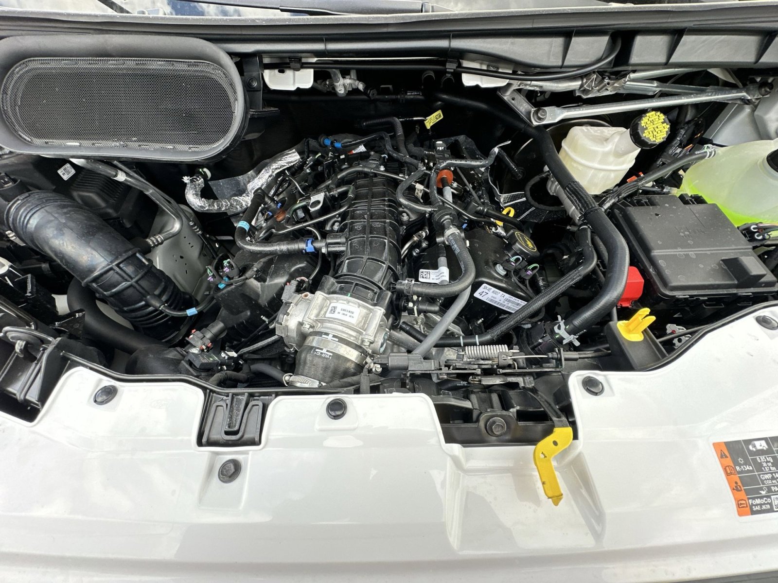 New 2026 Ford Transit 250 148 Medium Roof w/ Load Area Protection Package image 40