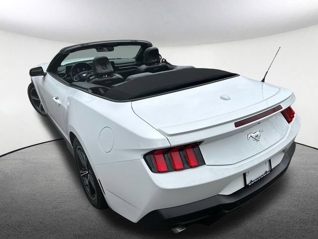 Used 2024 Ford Mustang Premium RWD image 14