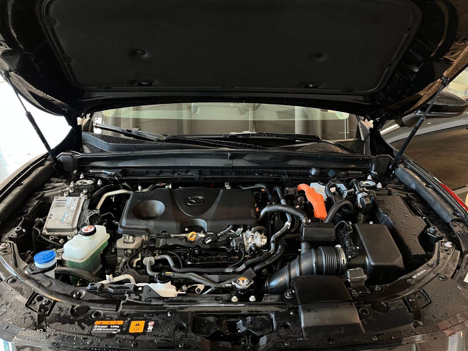 Used 2025 MAZDA CX-50 2.5 Hybrid w/ Premium Plus Pkg image 34