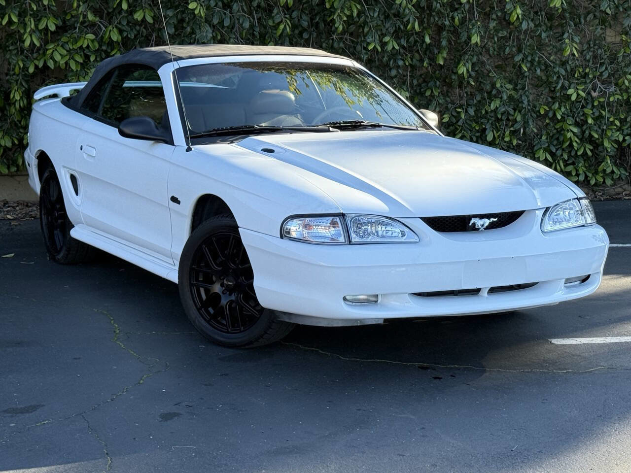 Used 1996 Ford Mustang GT RWD image 1