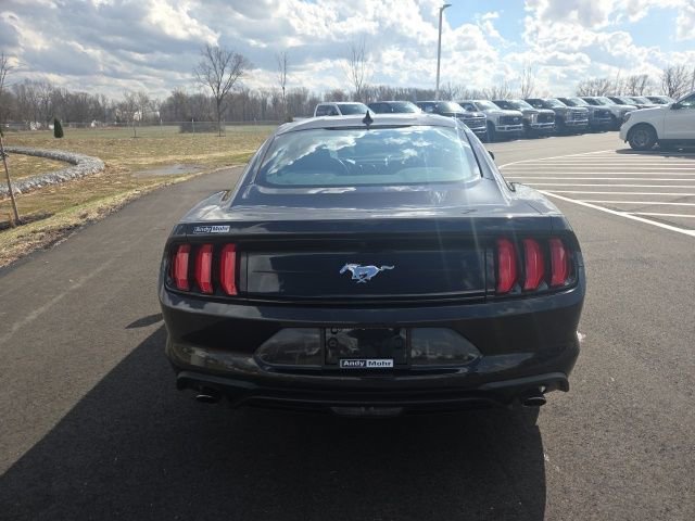 Certified 2023 Ford Mustang EcoBoost w/ Equipment Group 101A image 11