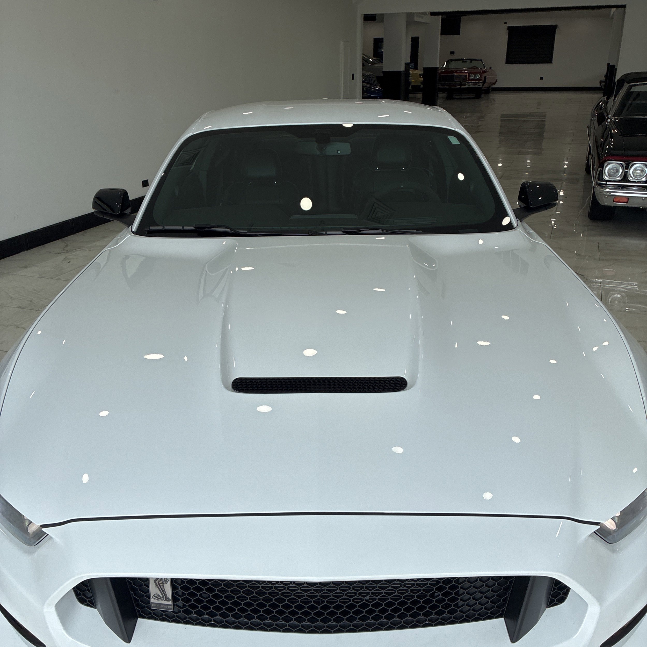 Used 2016 Ford Mustang Shelby GT350 w/ Technology Package RWD image 9
