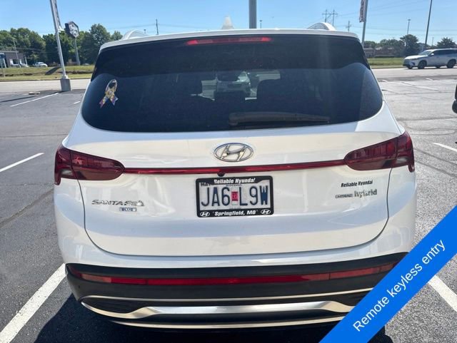 Used 2022 Hyundai Santa Fe Blue AWD/4WD image 6