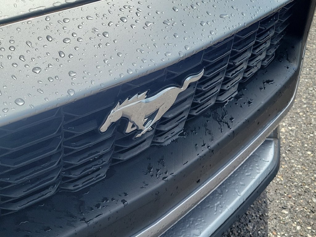 Used 2024 Ford Mustang Premium RWD image 7