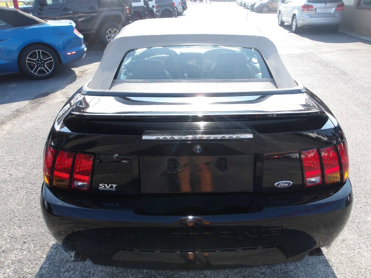 Used 1999 Ford Mustang Cobra RWD image 7