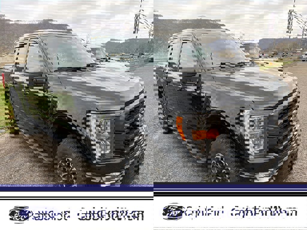 Used 2021 Ford F150 XLT w/ Equipment Group 302A High image 1